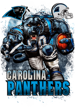 Load image into Gallery viewer, Carolina Panthers Full Color Transfers