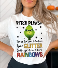 Load image into Gallery viewer, Bitch Please Full Color Transfers