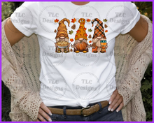 Load image into Gallery viewer, Fall Gnomes Trio Full Color Transfers