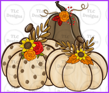 Load image into Gallery viewer, Fall Neutral Pumpkins Full Color Transfers