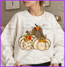 Load image into Gallery viewer, Fall Neutral Pumpkins Full Color Transfers