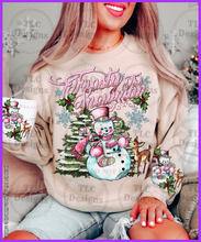 Load image into Gallery viewer, Frosty Without Checker Full Color Transfers