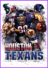 Load image into Gallery viewer, Houston Texans Full Color Transfers
