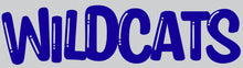 Load image into Gallery viewer, Wildcats Full Color Transfers