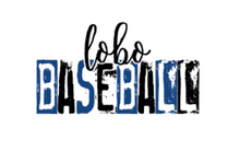 Load image into Gallery viewer, Lobo Baseball Without Leopard Full Color Transfers