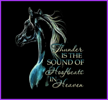 Load image into Gallery viewer, Thunder Is The Sound Of Hooves Full Color Transfers