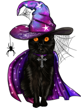Load image into Gallery viewer, Black Witch Cat Full Color Transfers

