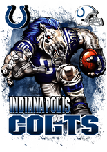 Load image into Gallery viewer, Indianapolis Colts Full Color Transfers
