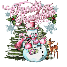 Load image into Gallery viewer, Frosty Without Checker Full Color Transfers
