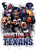 Load image into Gallery viewer, Houston Texans Full Color Transfers
