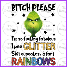 Load image into Gallery viewer, Bitch Please Full Color Transfers
