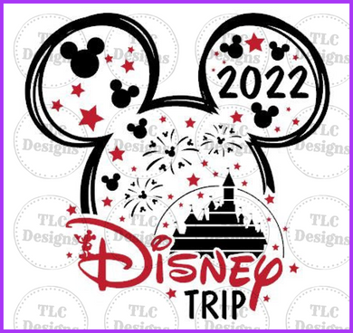 Boy Disney Trip 2022 Full Color Transfers