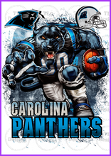 Load image into Gallery viewer, Carolina Panthers Full Color Transfers

