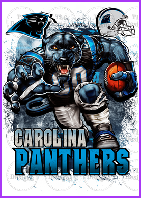 Carolina Panthers Full Color Transfers