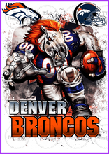 Load image into Gallery viewer, Denver Broncos Full Color Transfers
