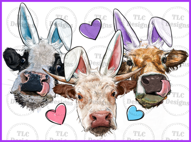 Easter Cows With Bunny Ears Full Color Transfers