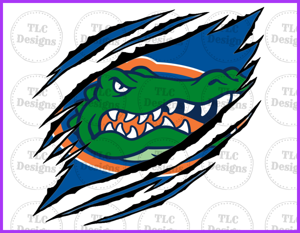 Florida Gator Ripped Full Color Transfers