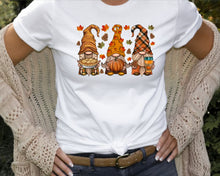 Load image into Gallery viewer, Fall Gnomes Trio Full Color Transfers
