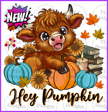 Hey Pumpkin Full Color Transfers