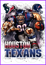 Load image into Gallery viewer, Houston Texans Full Color Transfers
