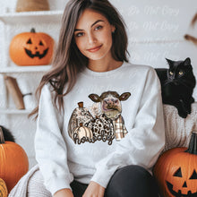 Load image into Gallery viewer, Howdy Fall Pumpkins With A Cow Full Color Transfers
