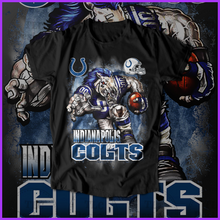 Load image into Gallery viewer, Indianapolis Colts Full Color Transfers
