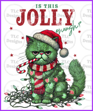 Load image into Gallery viewer, Is This Jolly Enough- Green Cat Full Color Transfers

