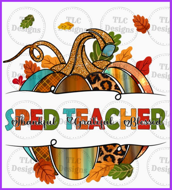 Sped Teacher Full Color Transfers
