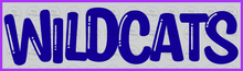 Load image into Gallery viewer, Wildcats Full Color Transfers
